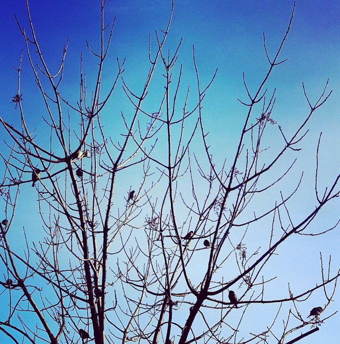 IMG_20170122_092700_836