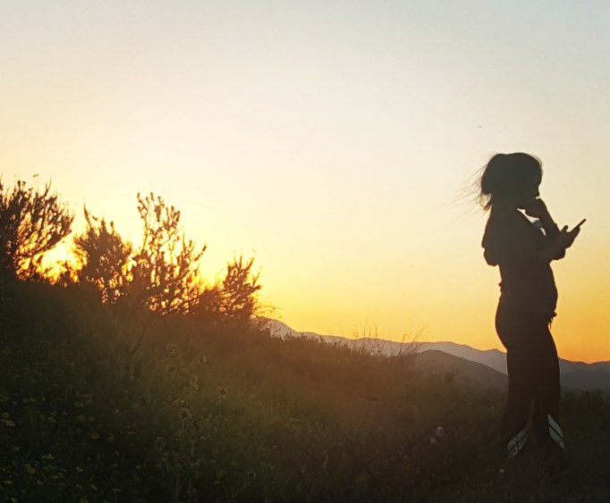 IMG_20170315_201652_747