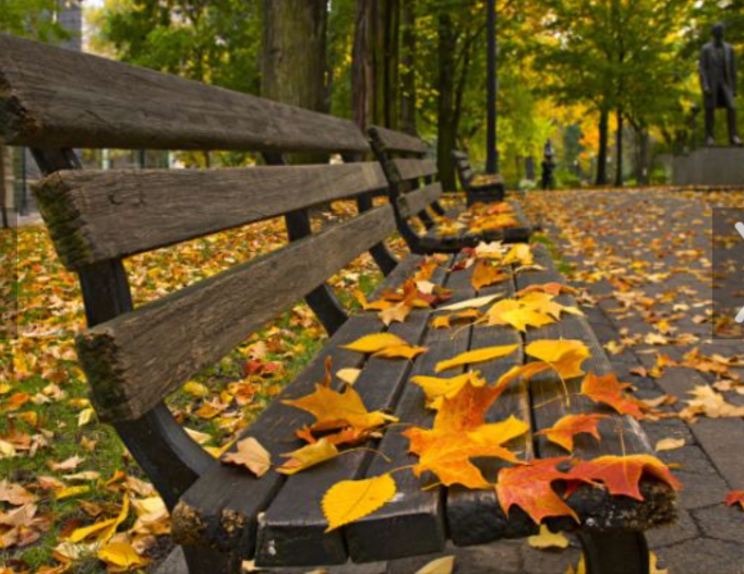 Screenshot_2016-01-31-14-08-56-1