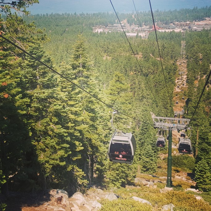 IMG_20170803_174109_398