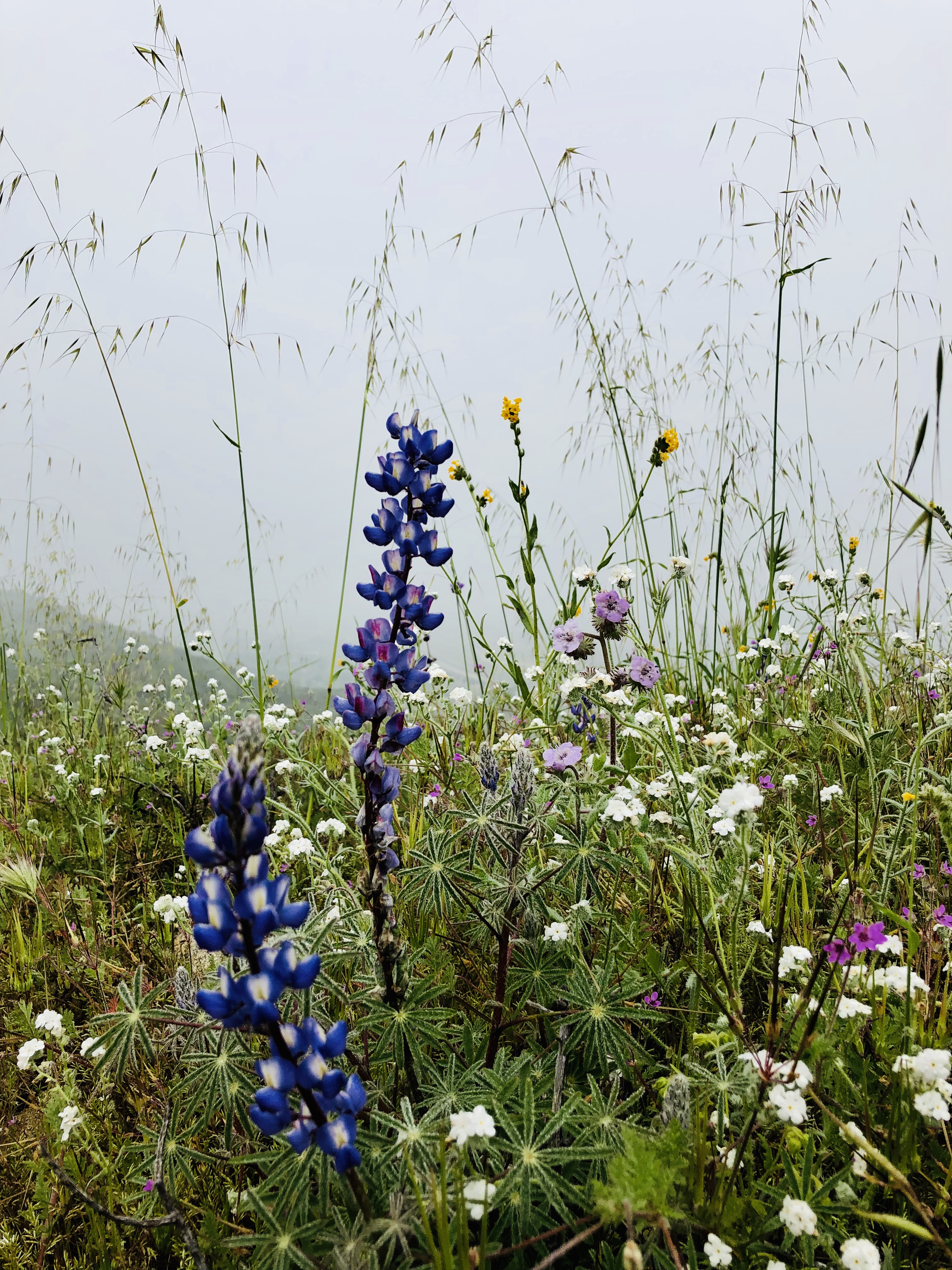 A832D1BF-7942-4D57-8CB6-F6185404E92E