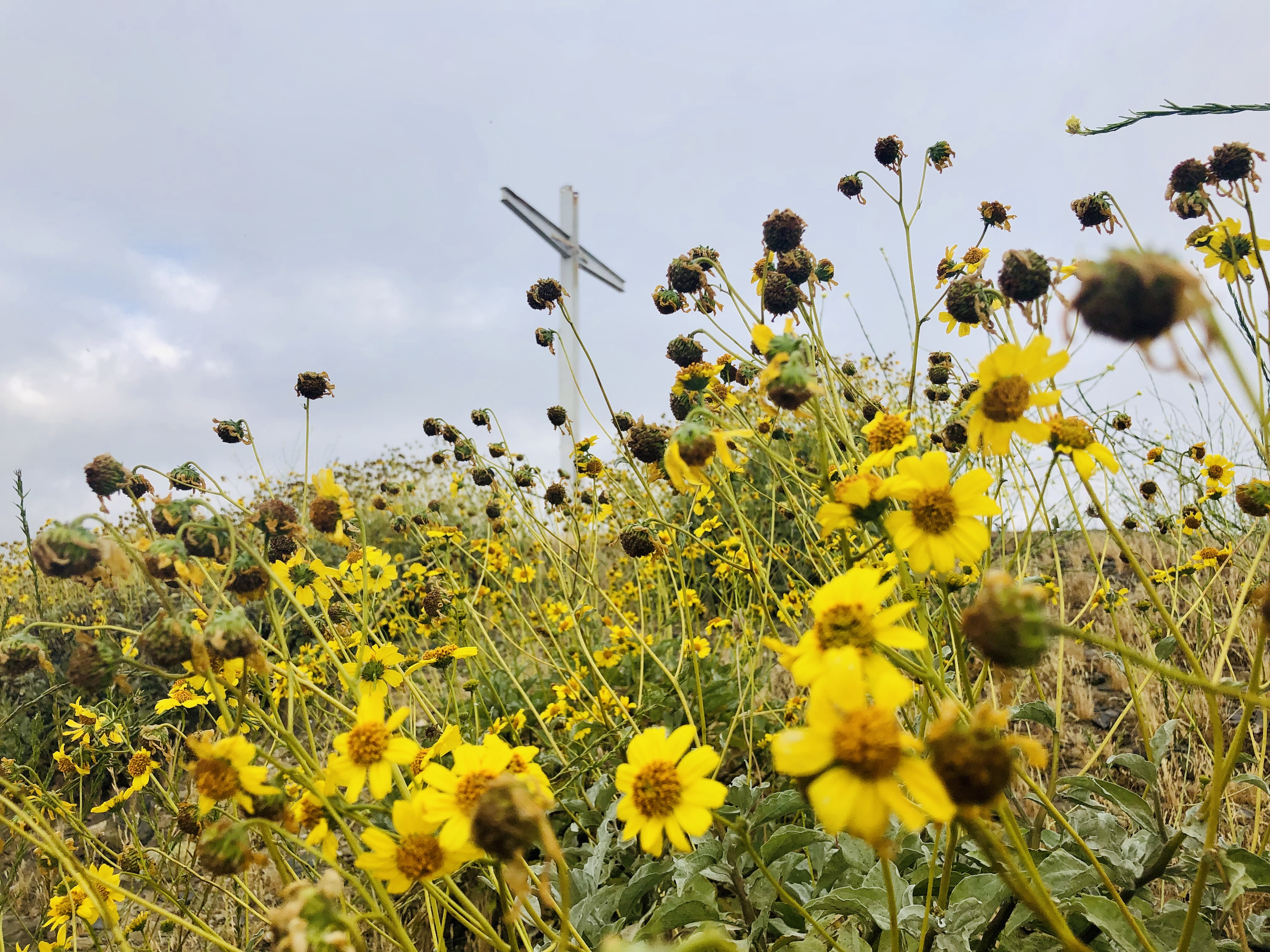 C6AD9BDC-931D-4E7E-8517-B452E4EBB152